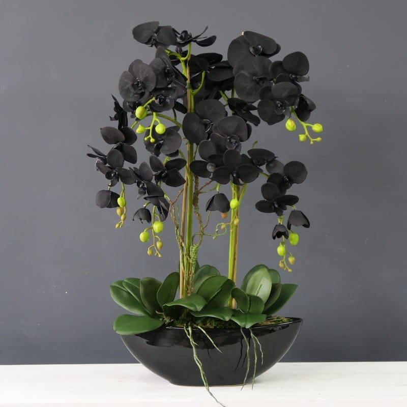 Czarny Storczyk Sztuczny Black Orchidea Glera L 10117 Dekomotyw czarny-storczyk-sztuczny-black-orchidea-glera-l-10117-dekomotyw
