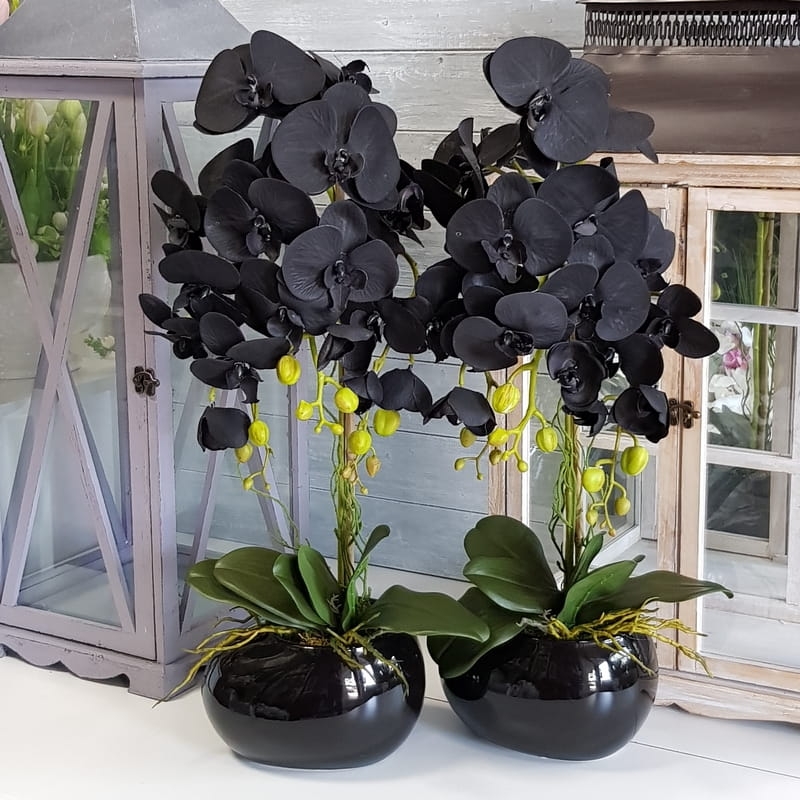 Czarny Storczyk Sztuczny Black Orchidea Adele 10122 Dekomotyw czarny-storczyk-sztuczny-black-orchidea-adele-10122-dekomotyw