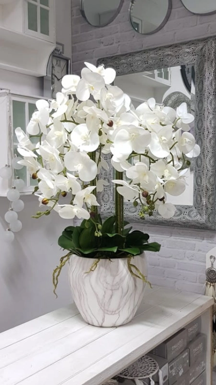 20190205_163846.jpg