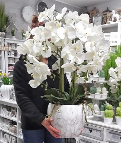 20190205_163632-01-02a.jpg