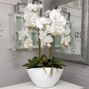 Kompozycja storczyk biała donica VERONICA XXL