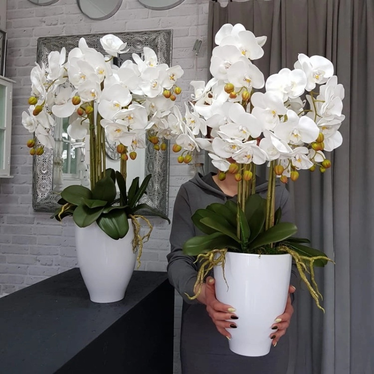 20190514_105606.jpg