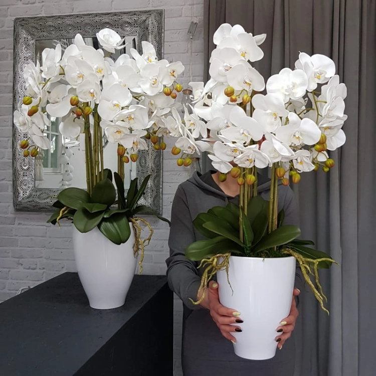 20190514_105613.jpg