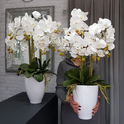 20190514_105615.jpg
