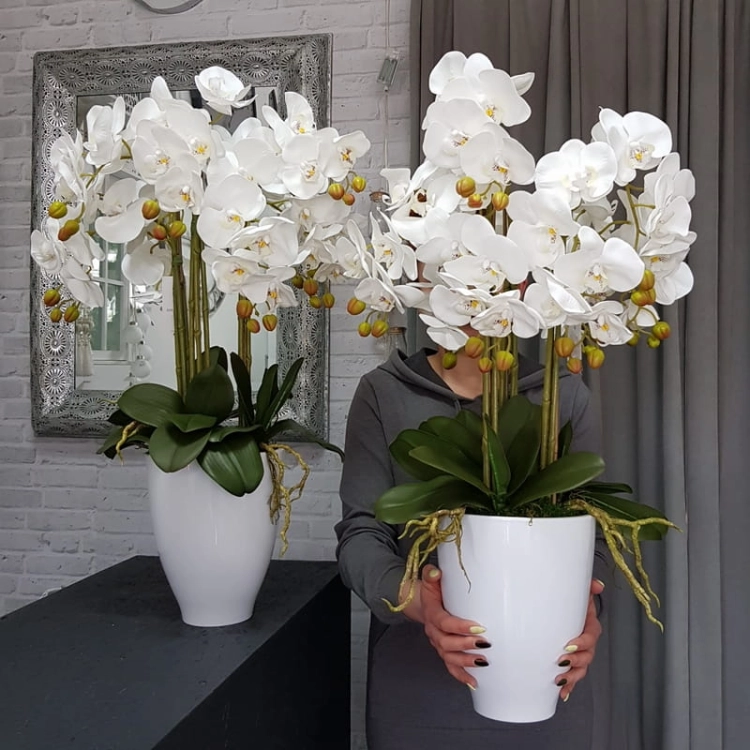 20190514_105615.jpg