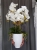 20190514_105625.jpg