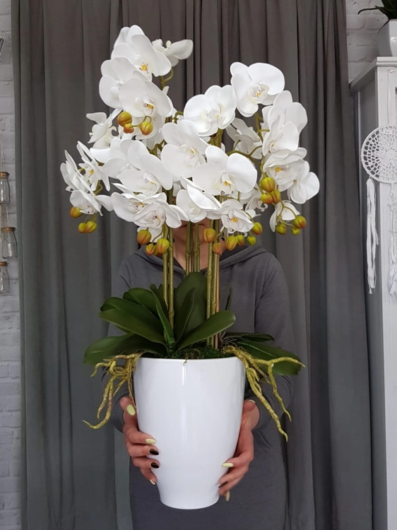 20190514_105625.jpg
