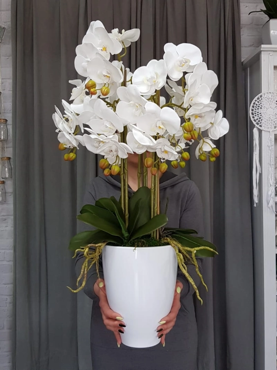 20190514_105632.jpg