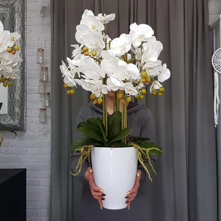 20190514_105646.jpg