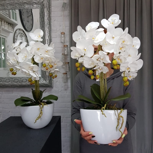 20190514_110315.jpg