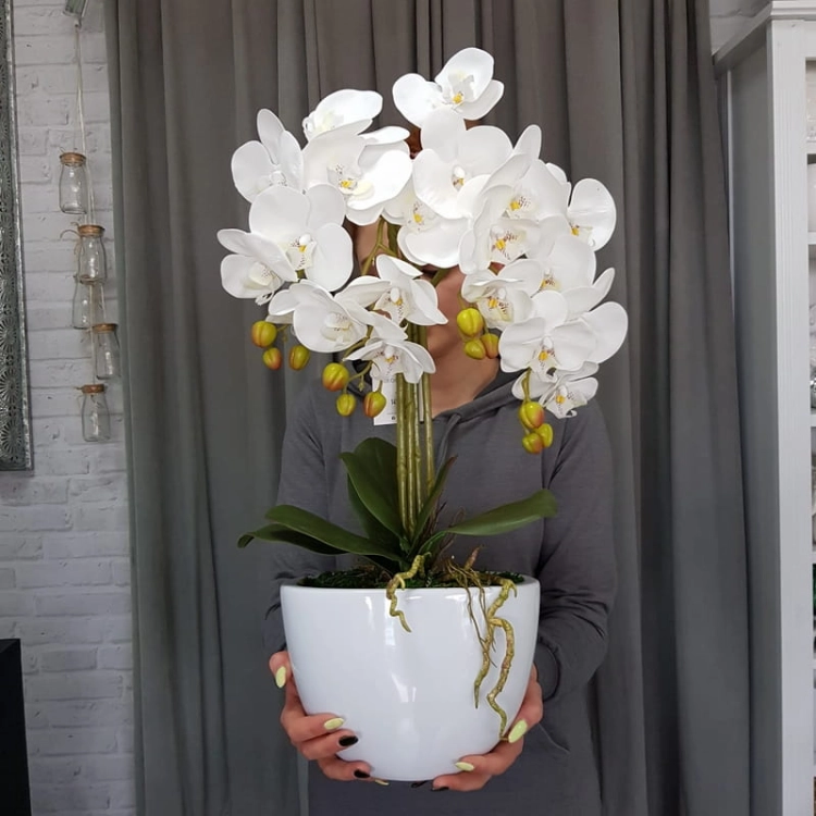 20190514_110320.jpg