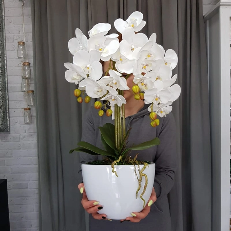 20190514_110323.jpg
