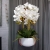 20190515_090913.jpg