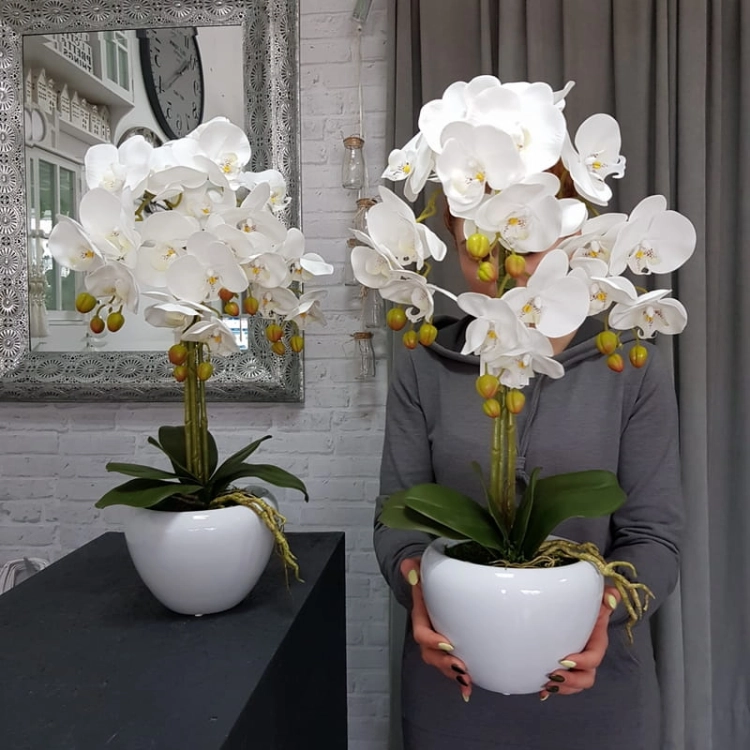 20190514_112218.jpg