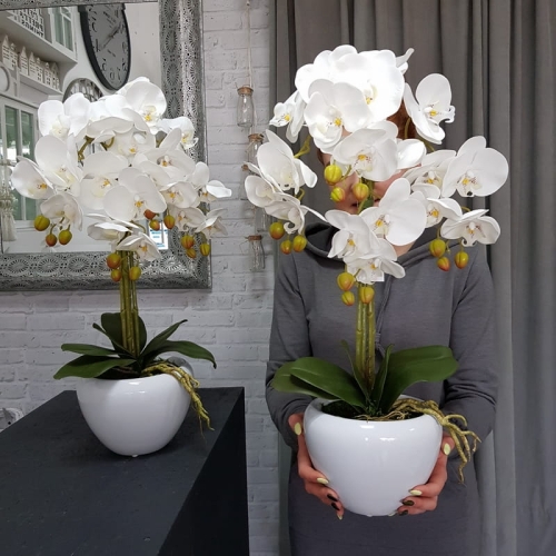 20190514_112223.jpg