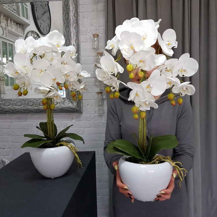 20190514_112223.jpg