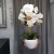 20190514_112237.jpg