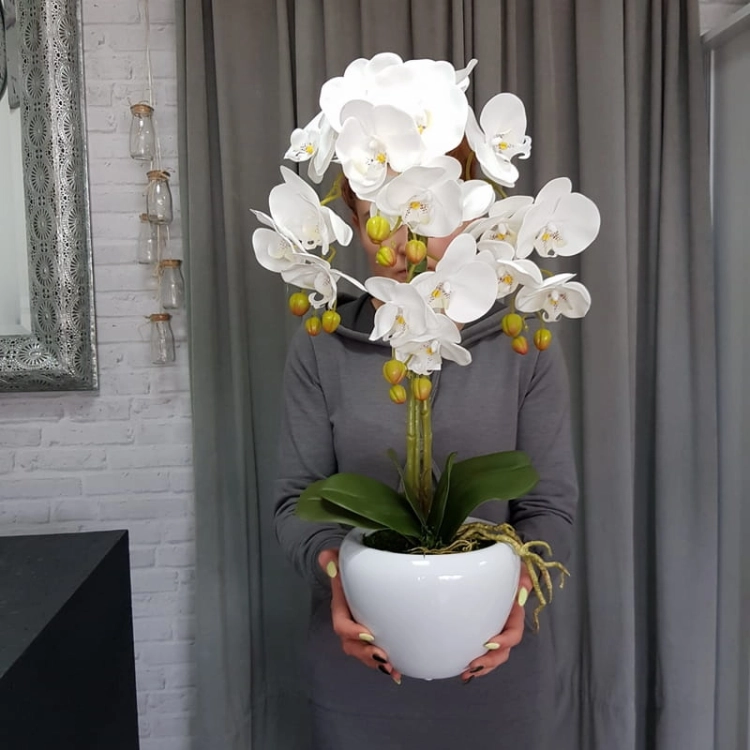 20190514_112237.jpg