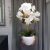 20190514_112240.jpg