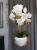 20190514_112250.jpg