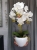 20190514_112254.jpg