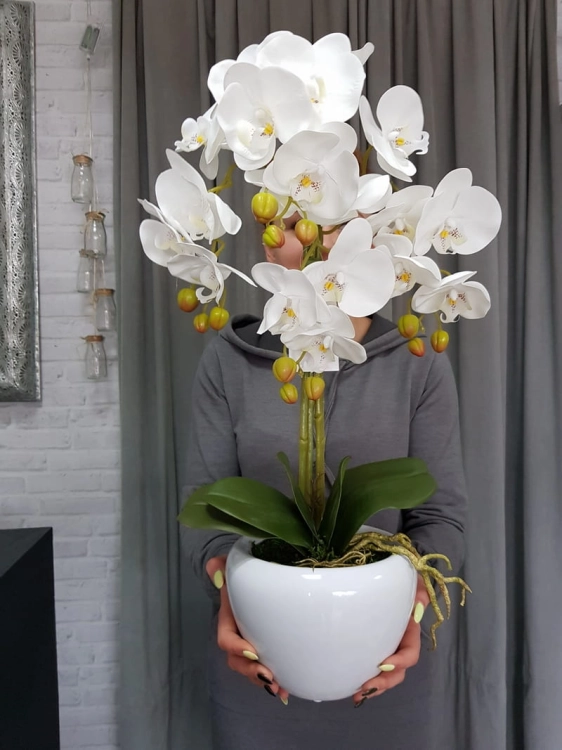 20190514_112254.jpg