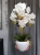 20190514_112256.jpg