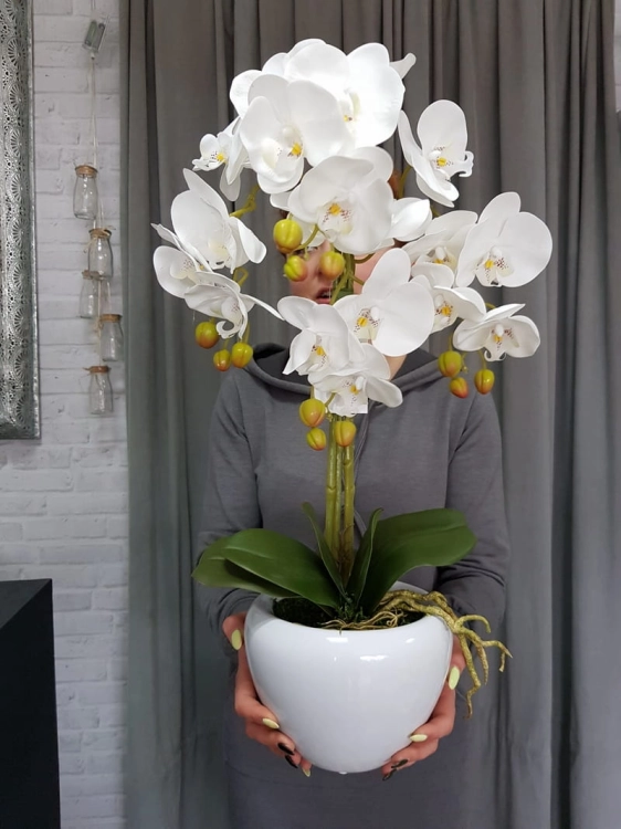 20190514_112256.jpg