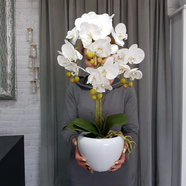 20190514_112314.jpg