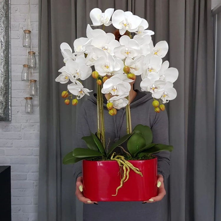 20190514_111334.jpg