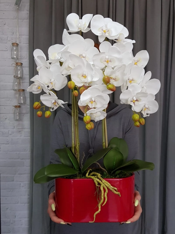 20190514_111302.jpg