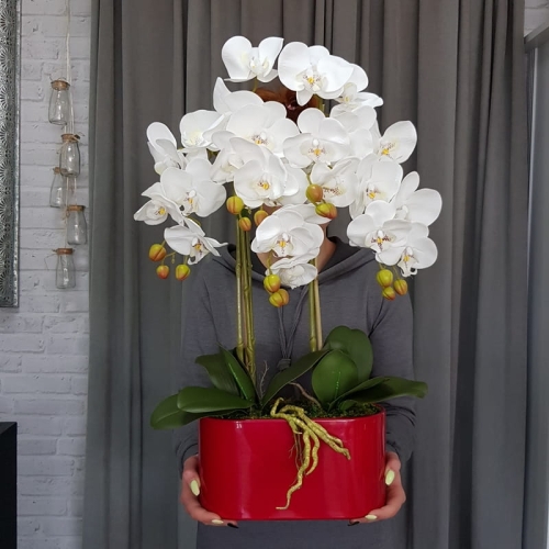 20190514_111337.jpg