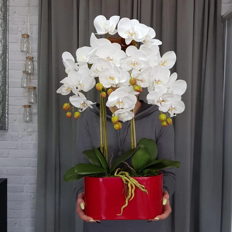 20190514_111337.jpg