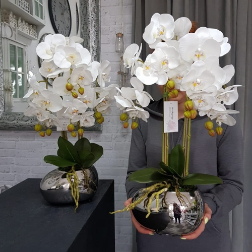 20190514_113725.jpg