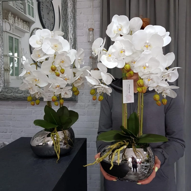 20190514_113726.jpg