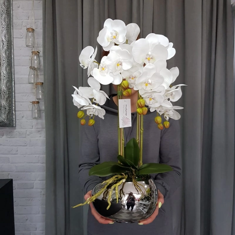 20190514_113739.jpg