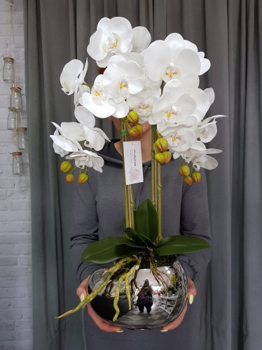 20190514_113751.jpg