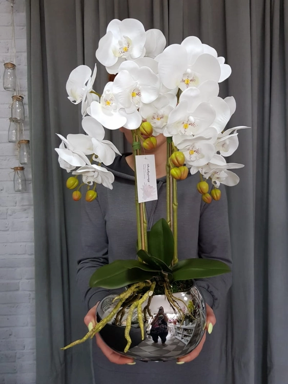 20190514_113751.jpg