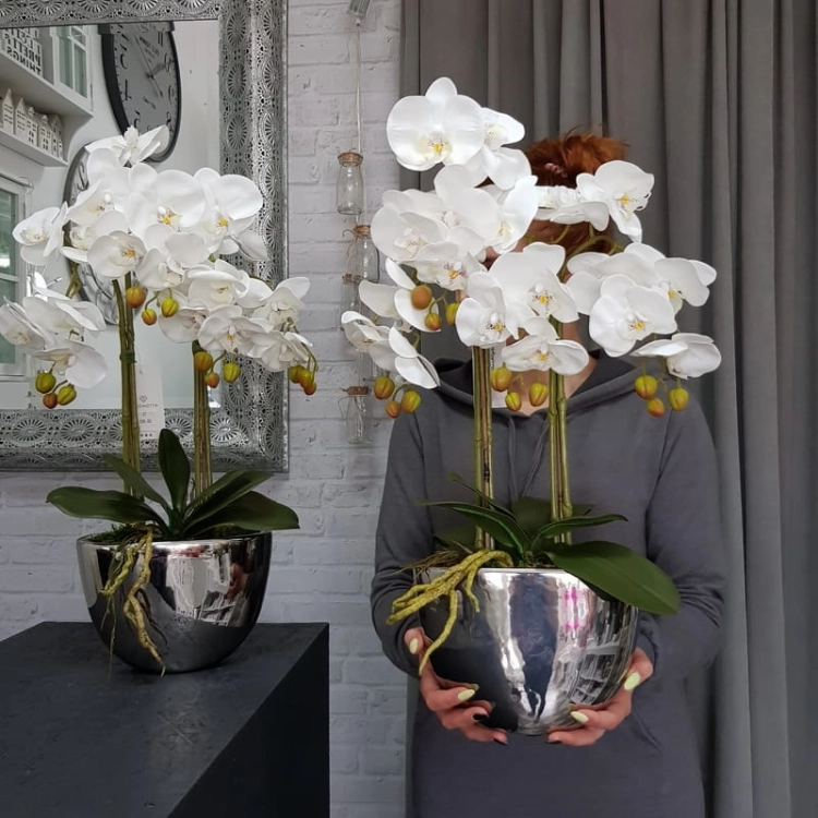 20190514_111133.jpg