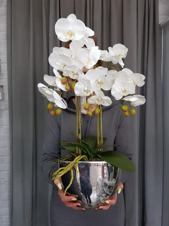 20190514_111204.jpg