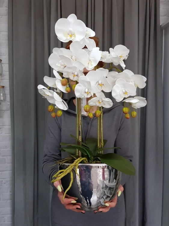20190514_111210.jpg