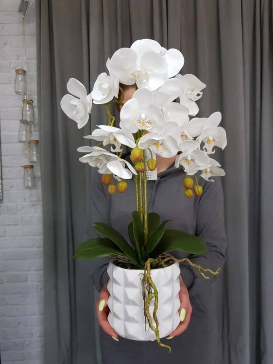 20190514_113017.jpg