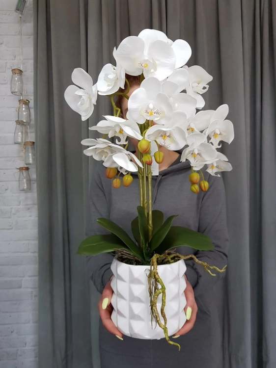 20190514_113019.jpg
