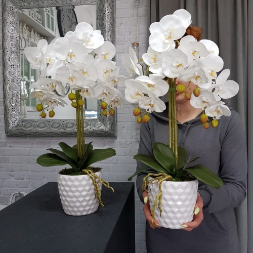 20190514_113205.jpg