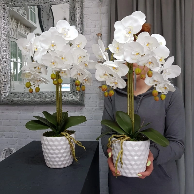 20190514_113207.jpg