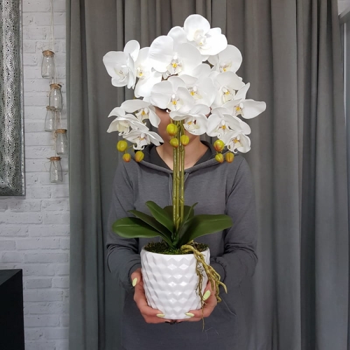 20190514_113235.jpg