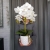 20190514_113237.jpg