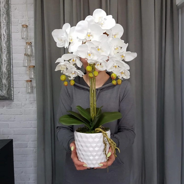 20190514_113237.jpg