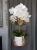 20190514_113244.jpg