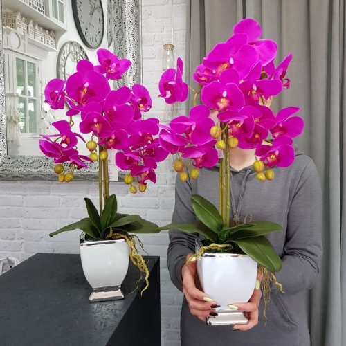 20190514_112612.jpg